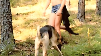 Dark Lantern Entertainment presents 'Beauty And The Beast'