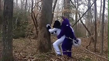 Fursuit Couple Mating in Woods